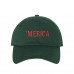'MERICA Dad Hat Embroidered United States USA Baseball Caps  Many Available  eb-93210926